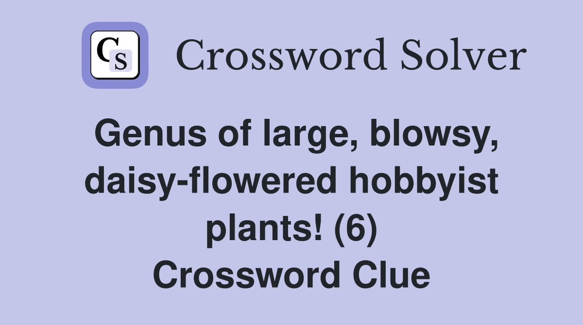 Genus of large, blowsy, daisyflowered hobbyist plants! (6) Crossword